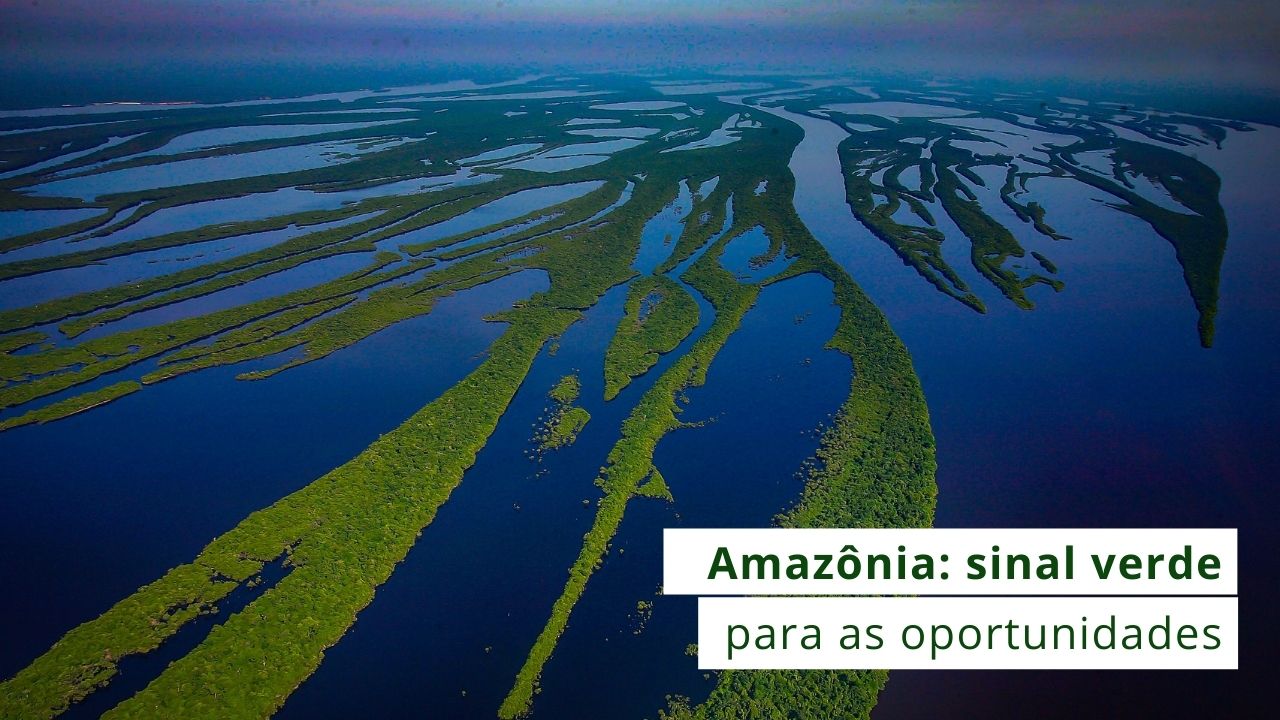 No momento você está vendo Amazônia e seus potenciais econômicos serão discutidos no Encontro de Administração do Amazonas 2021